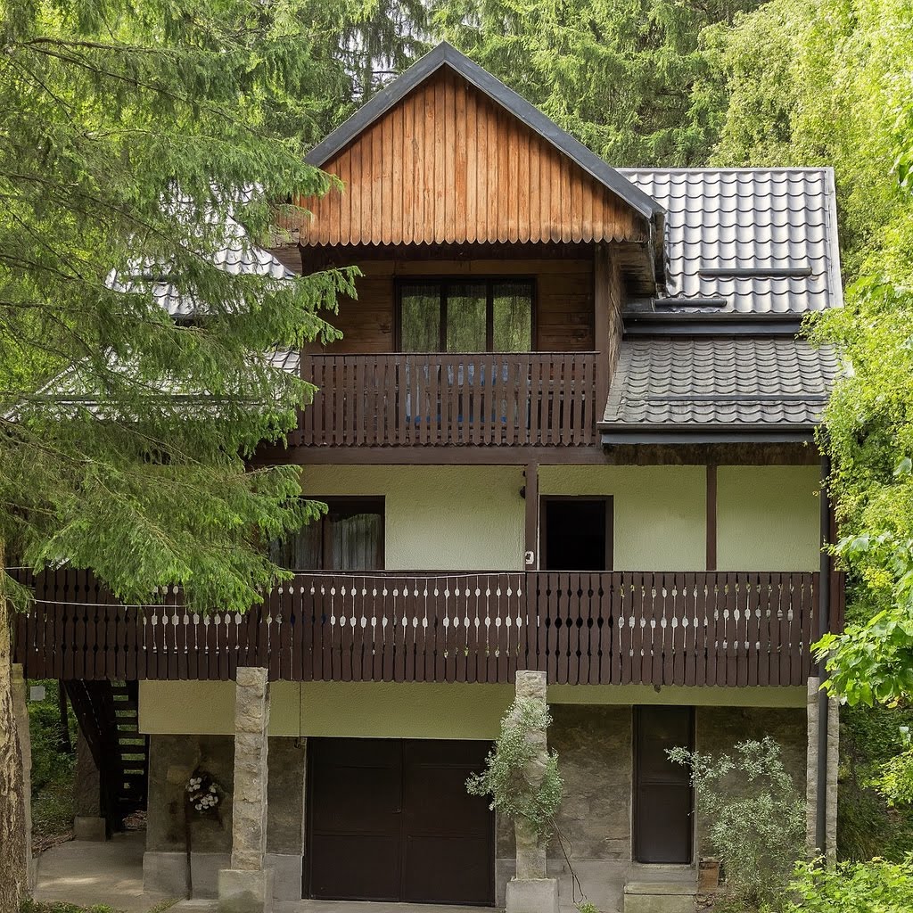 Casa Daniela, a traditional timber guesthouse with long wooden balconies, surrounded by trees in the Voroneț valley.
